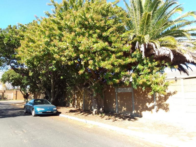 To Let 1 Bedroom Property for Rent in Durbanville Western Cape